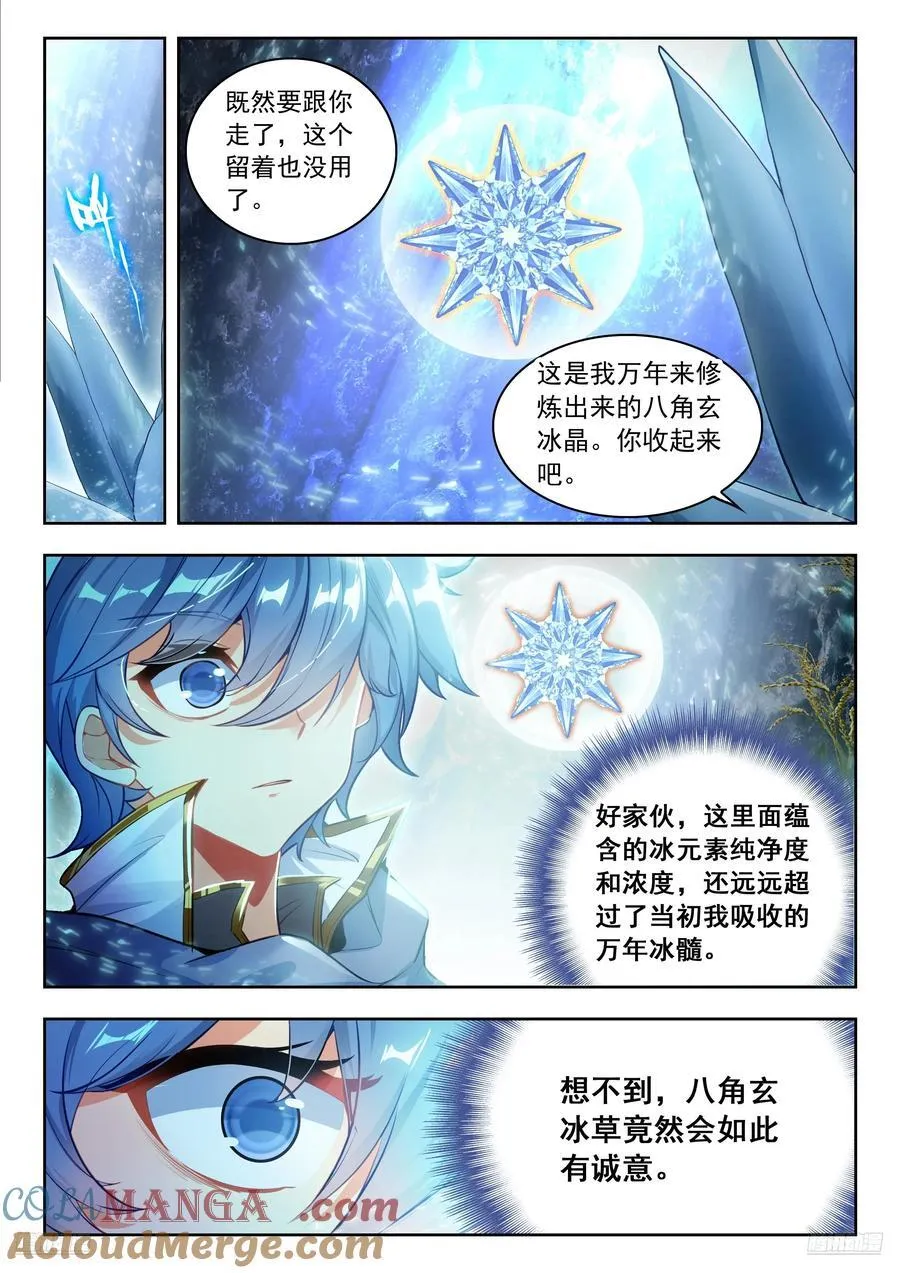 464 八角玄冰草8