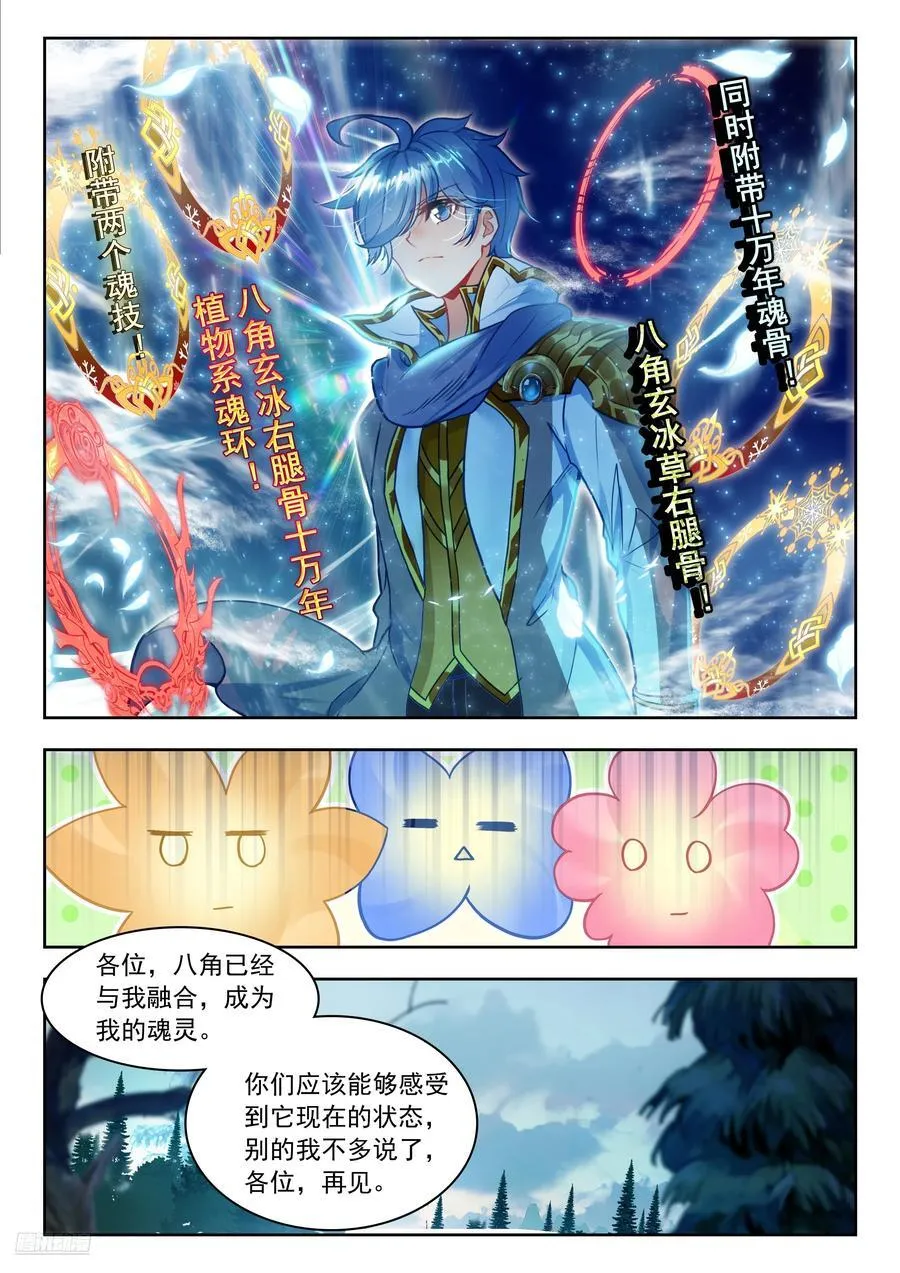 464 八角玄冰草11