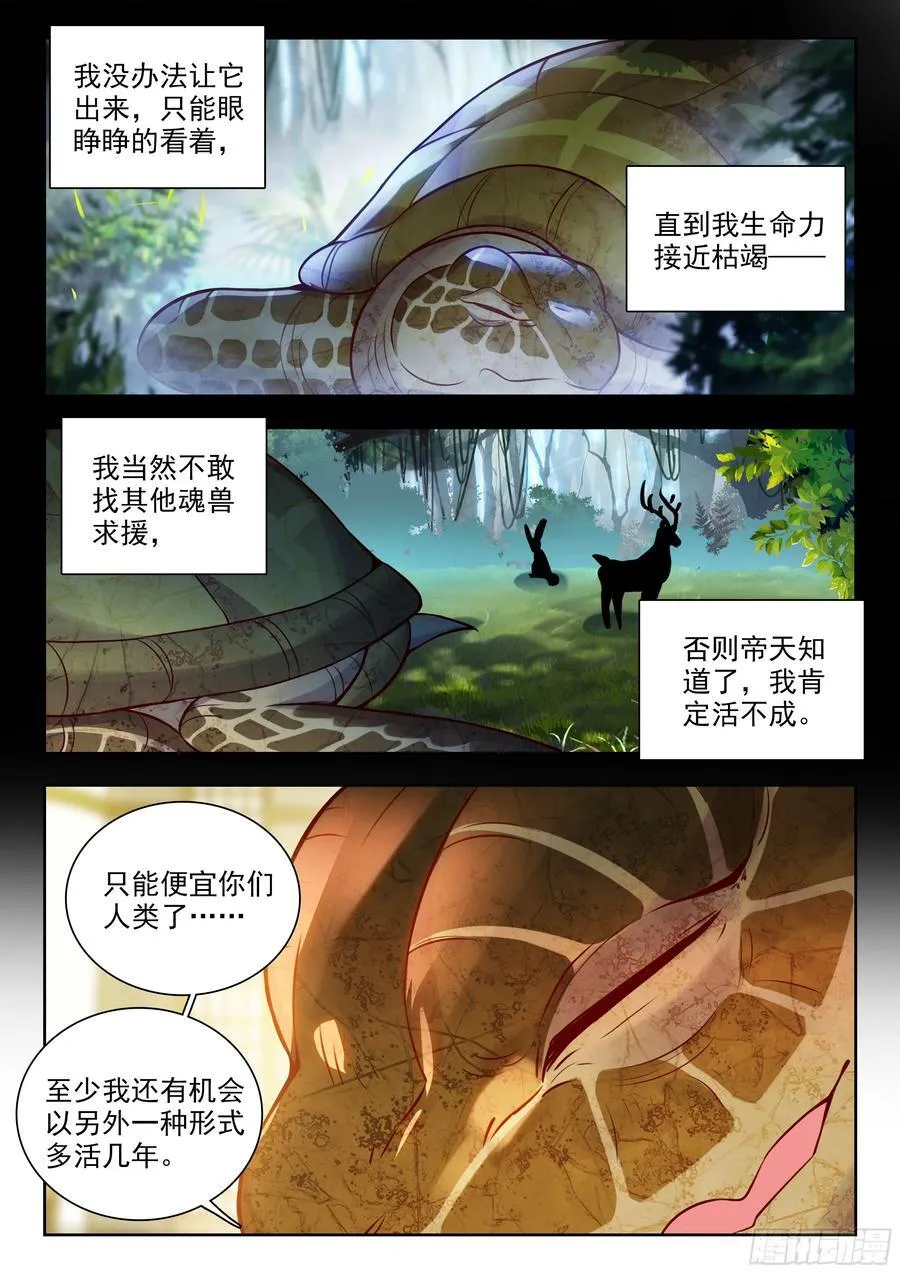 497 悲剧的黄金玳瑁13