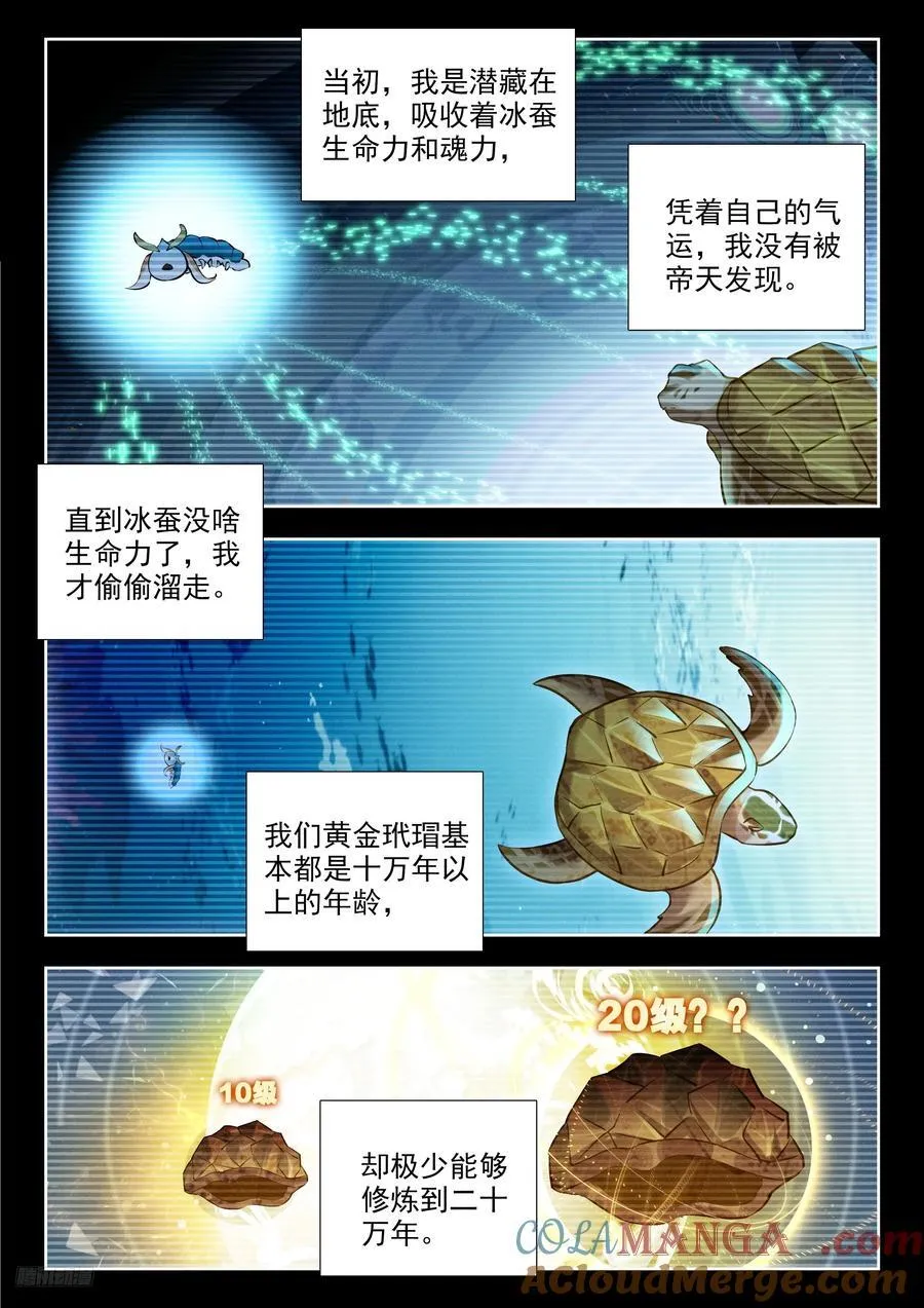497 悲剧的黄金玳瑁8