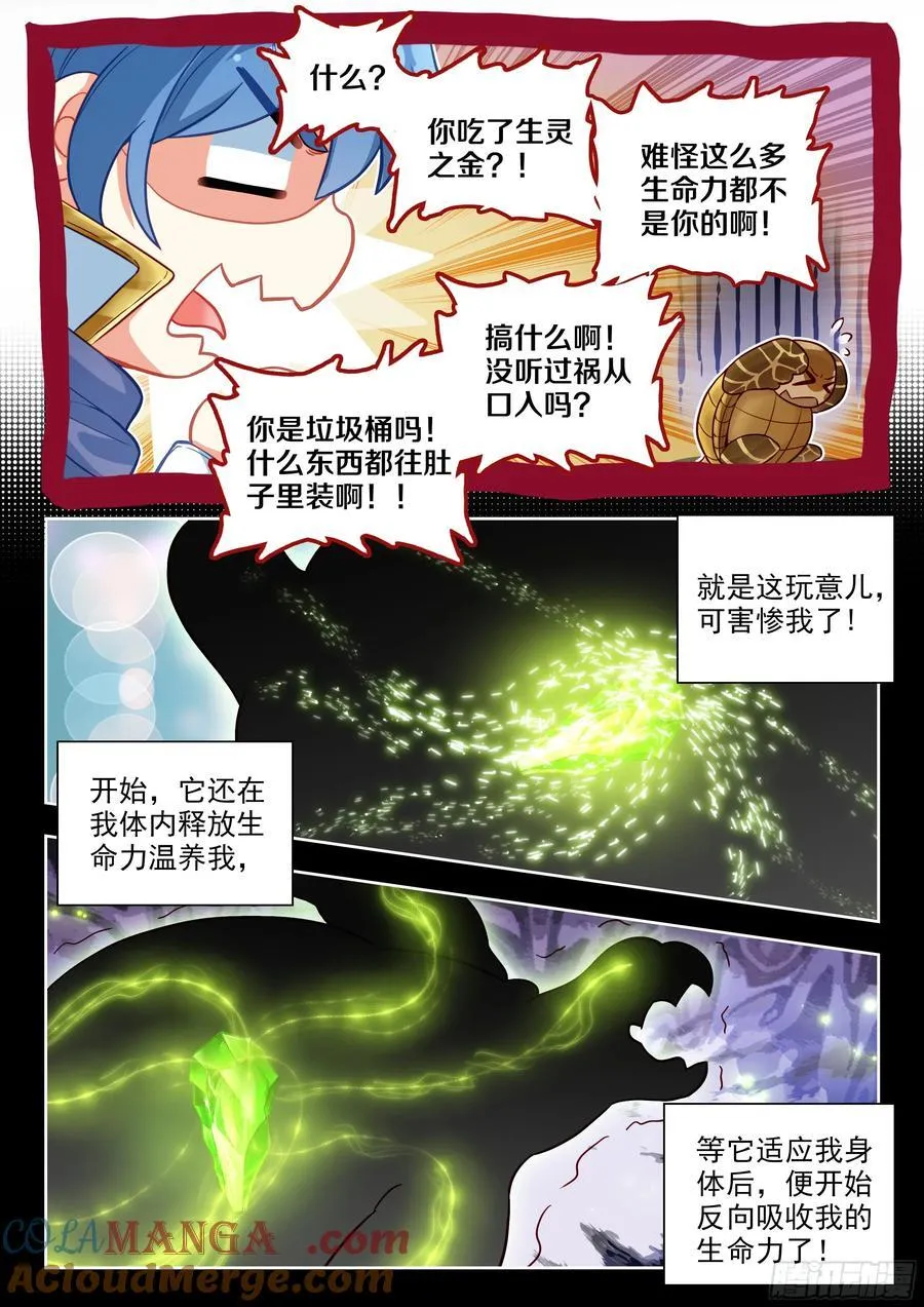 497 悲剧的黄金玳瑁12