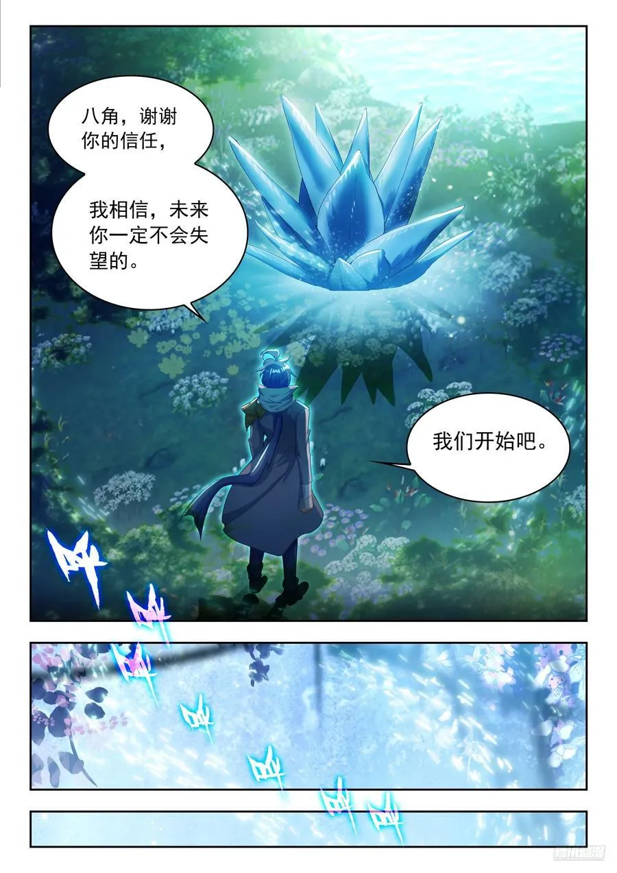 464 八角玄冰草9