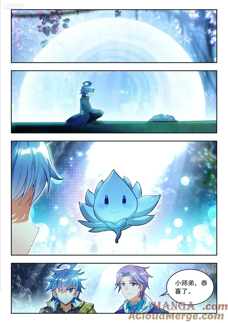 464 八角玄冰草10