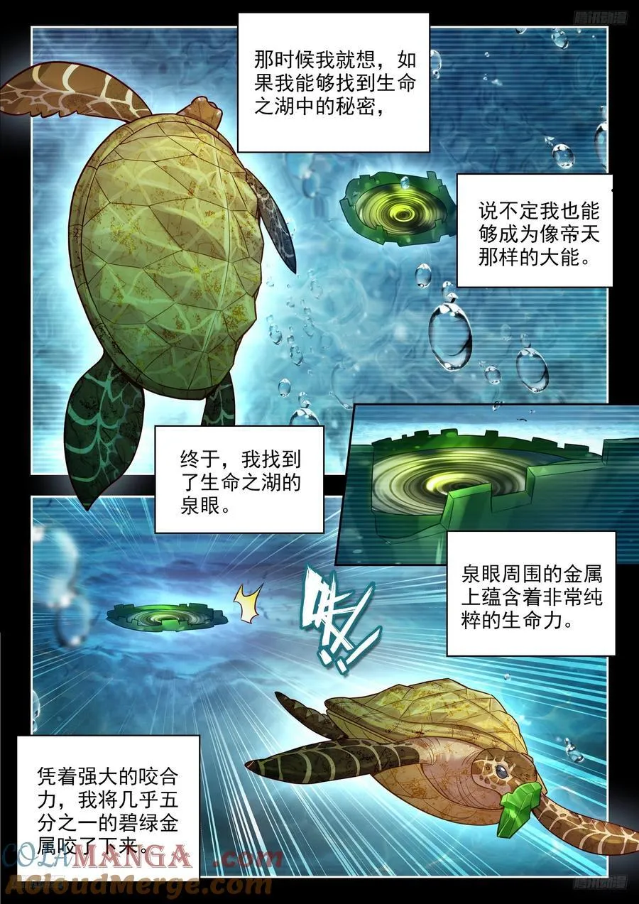497 悲剧的黄金玳瑁10