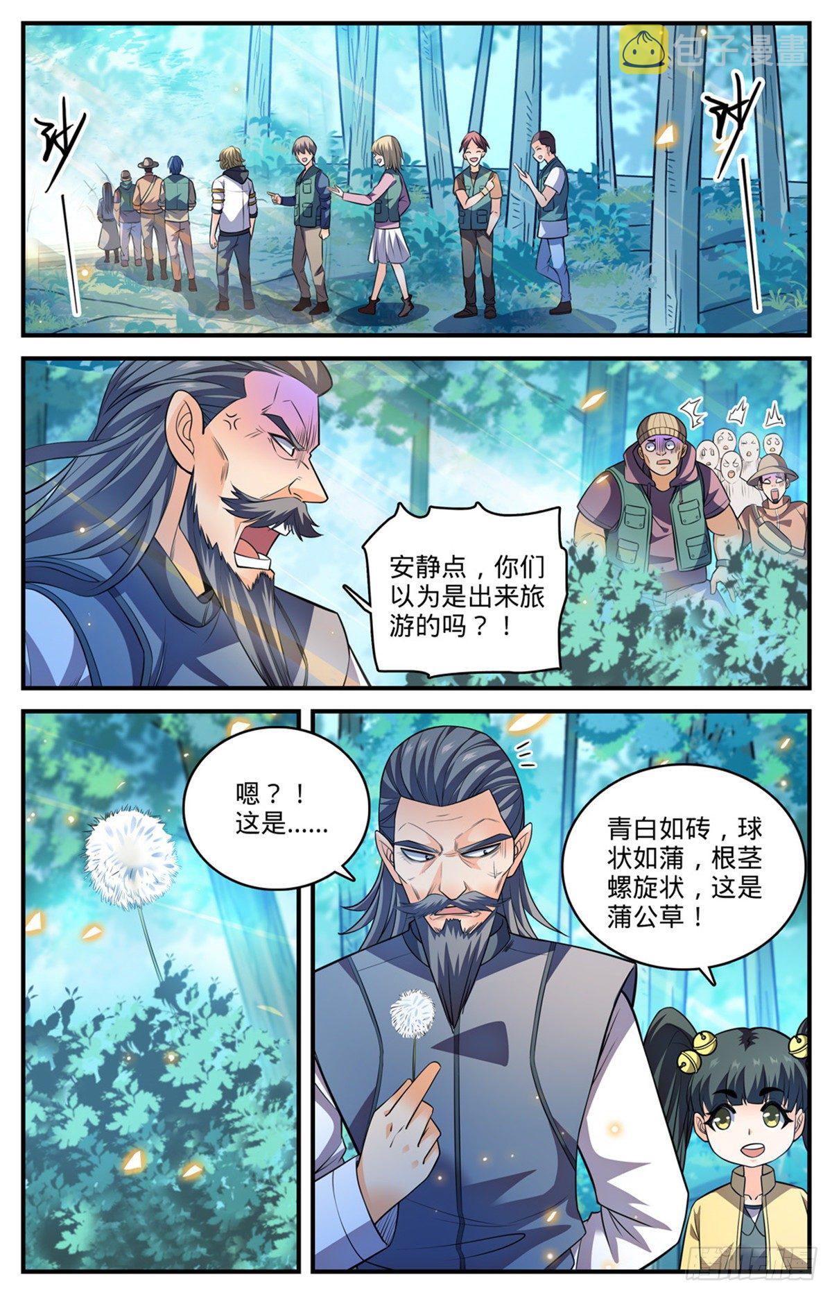 817 大紫椴树背後危机3