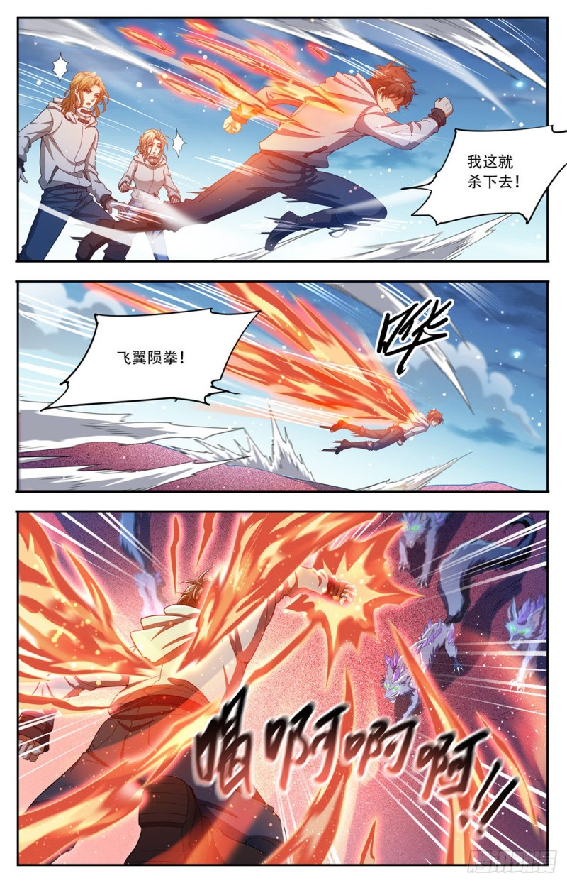 658  遁影·影鸟11