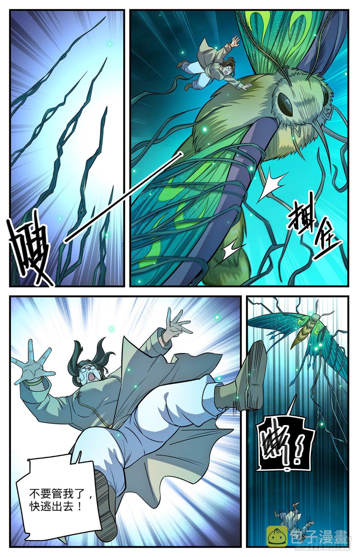 833 月蛾凰现身12