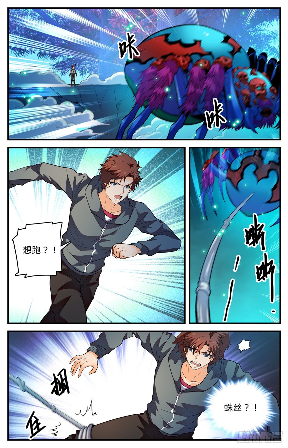 796 玛瑙头蛛3