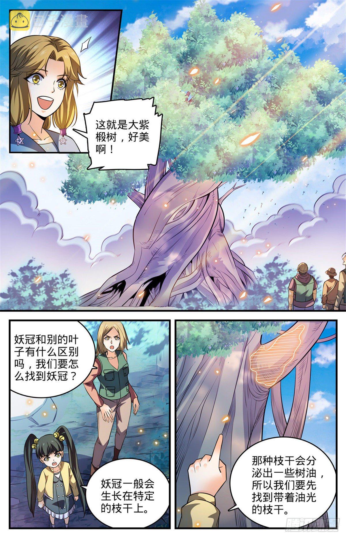 817 大紫椴树背後危机5