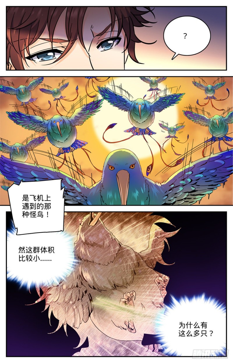 595  怪鸟铺天7