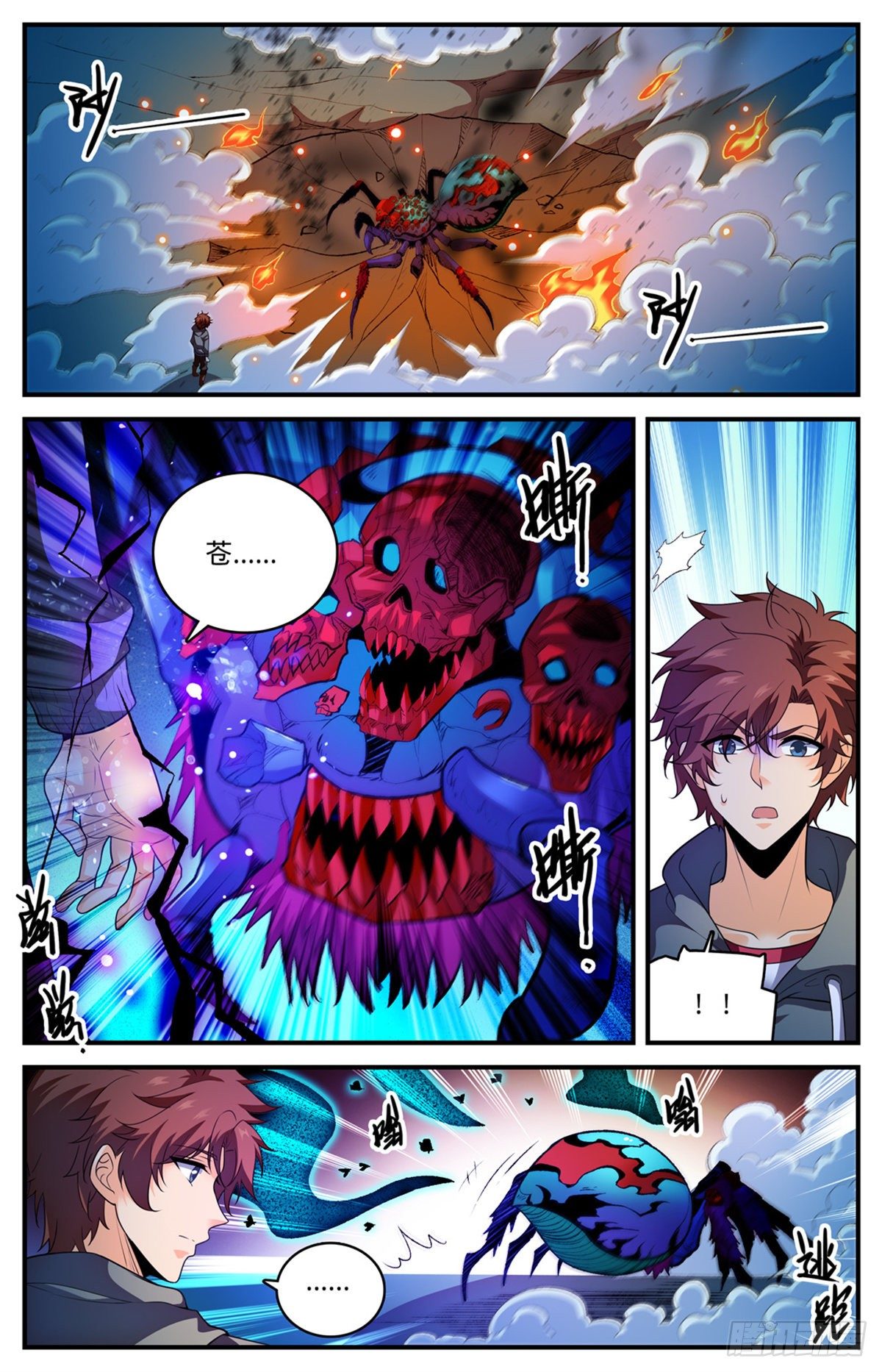 796 玛瑙头蛛6