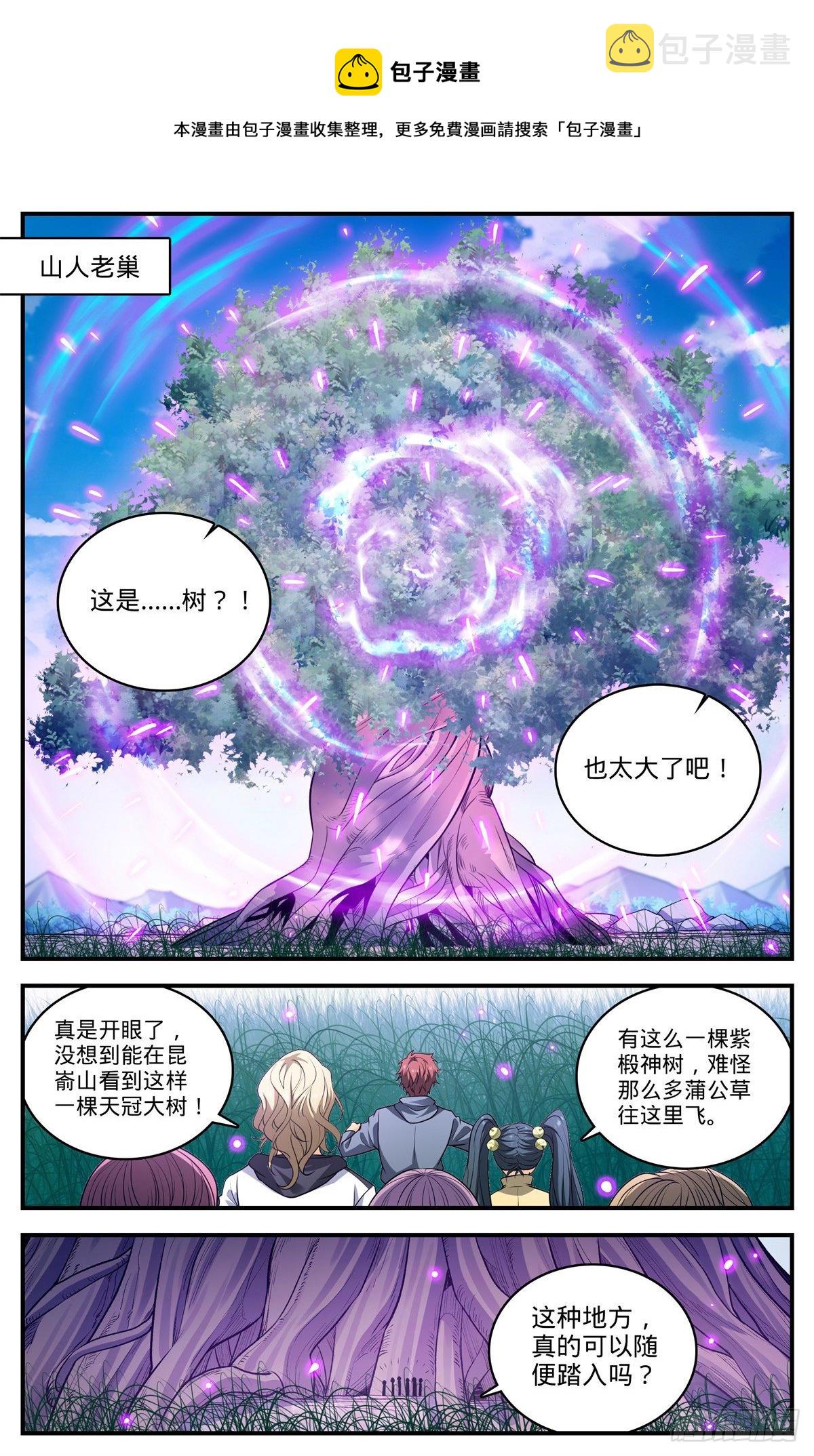822 天冠紫椴树10