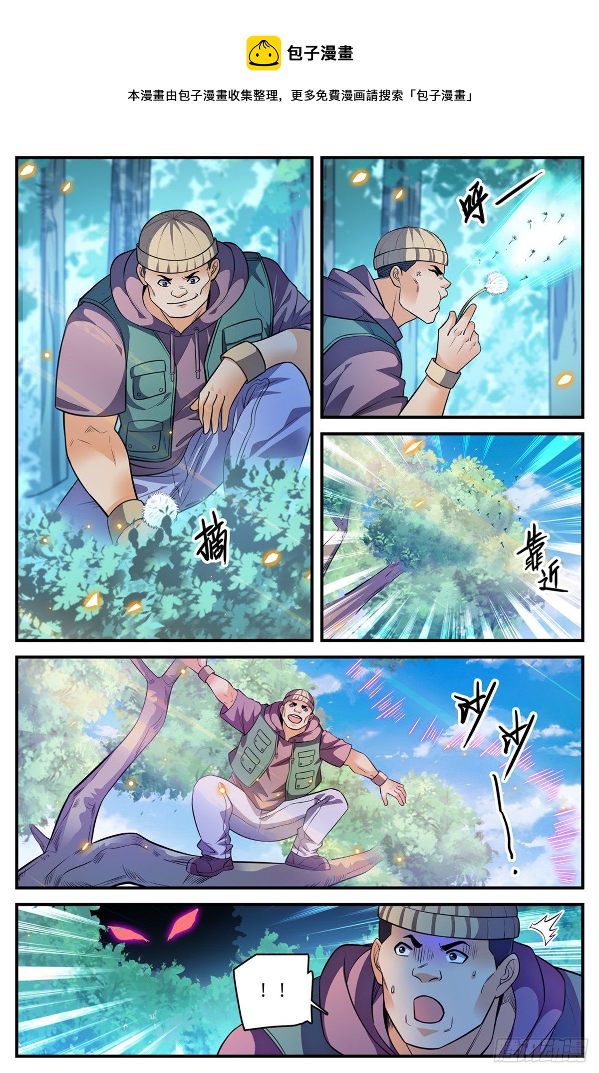 817 大紫椴树背後危机7