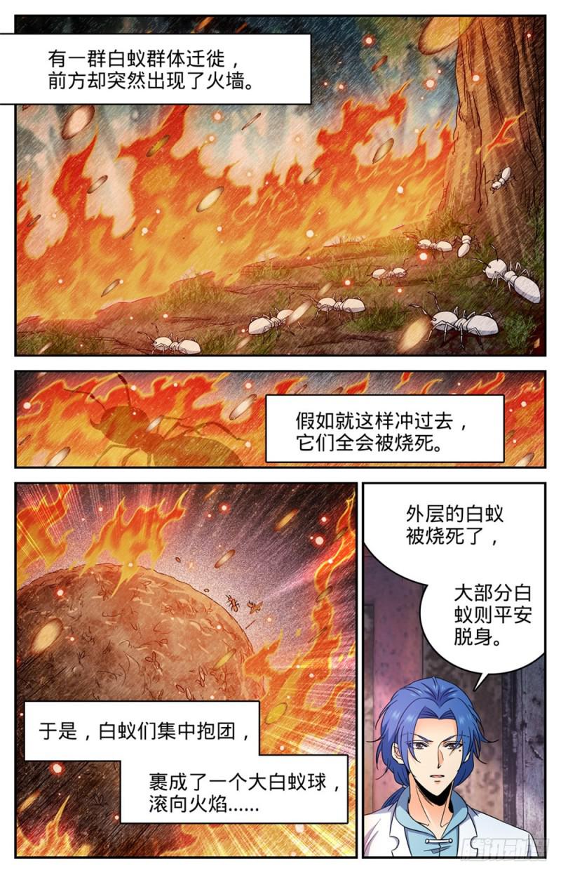 411 白蚁求生4