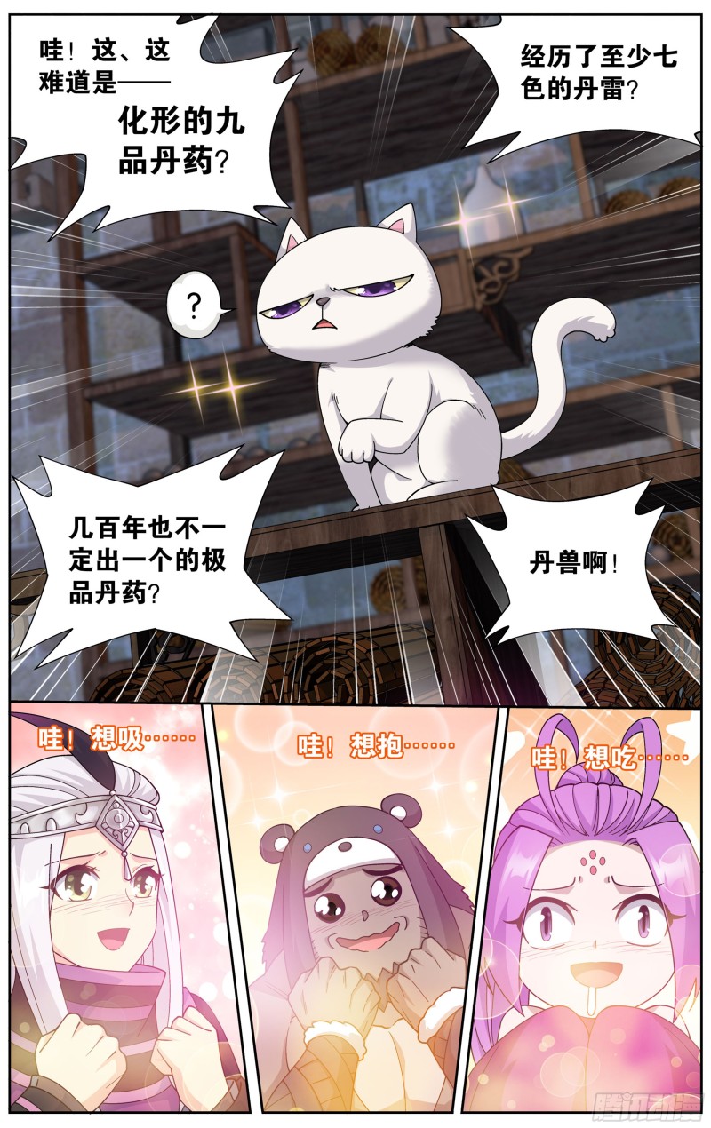 313回 灵猫6