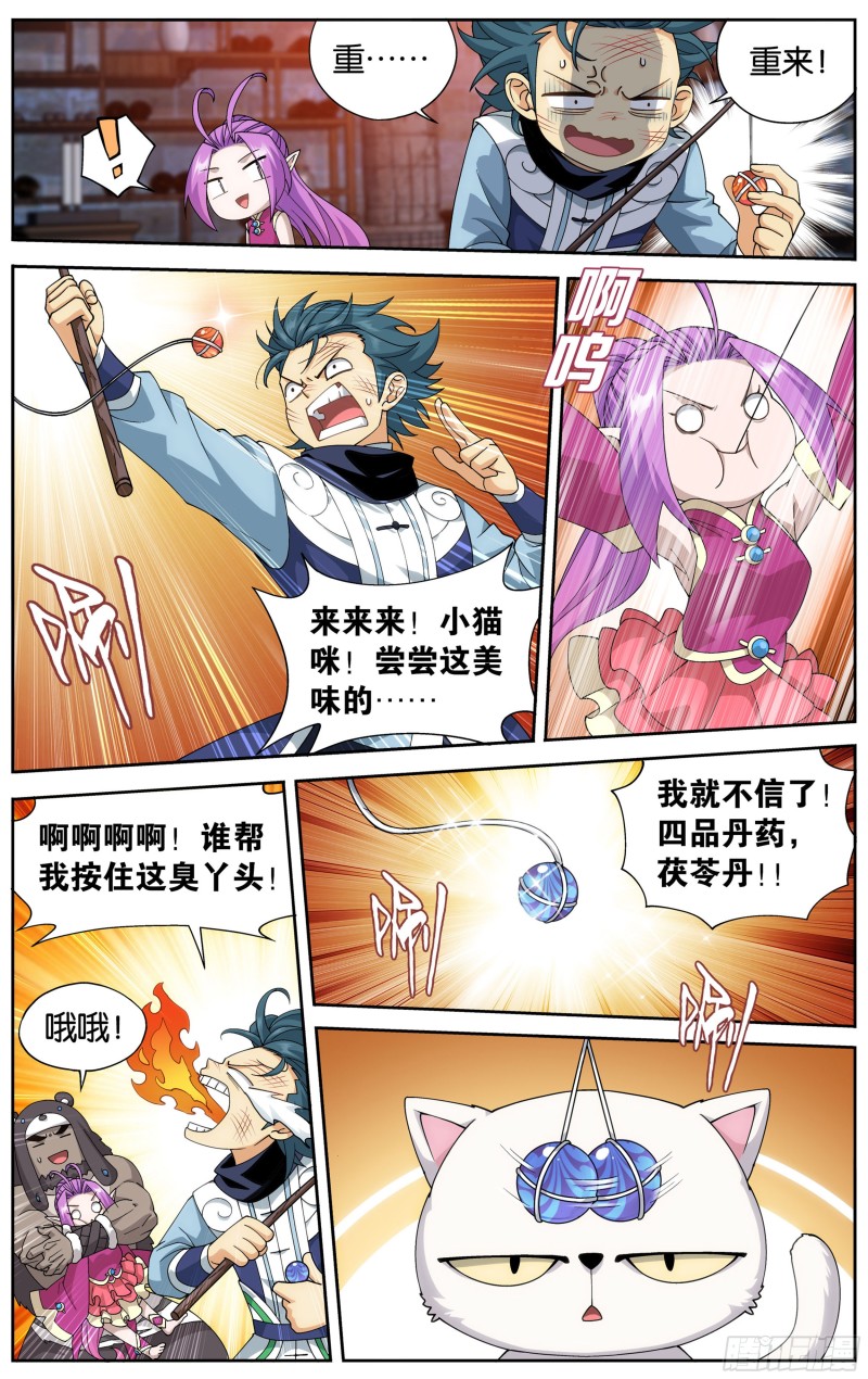 313回 灵猫9