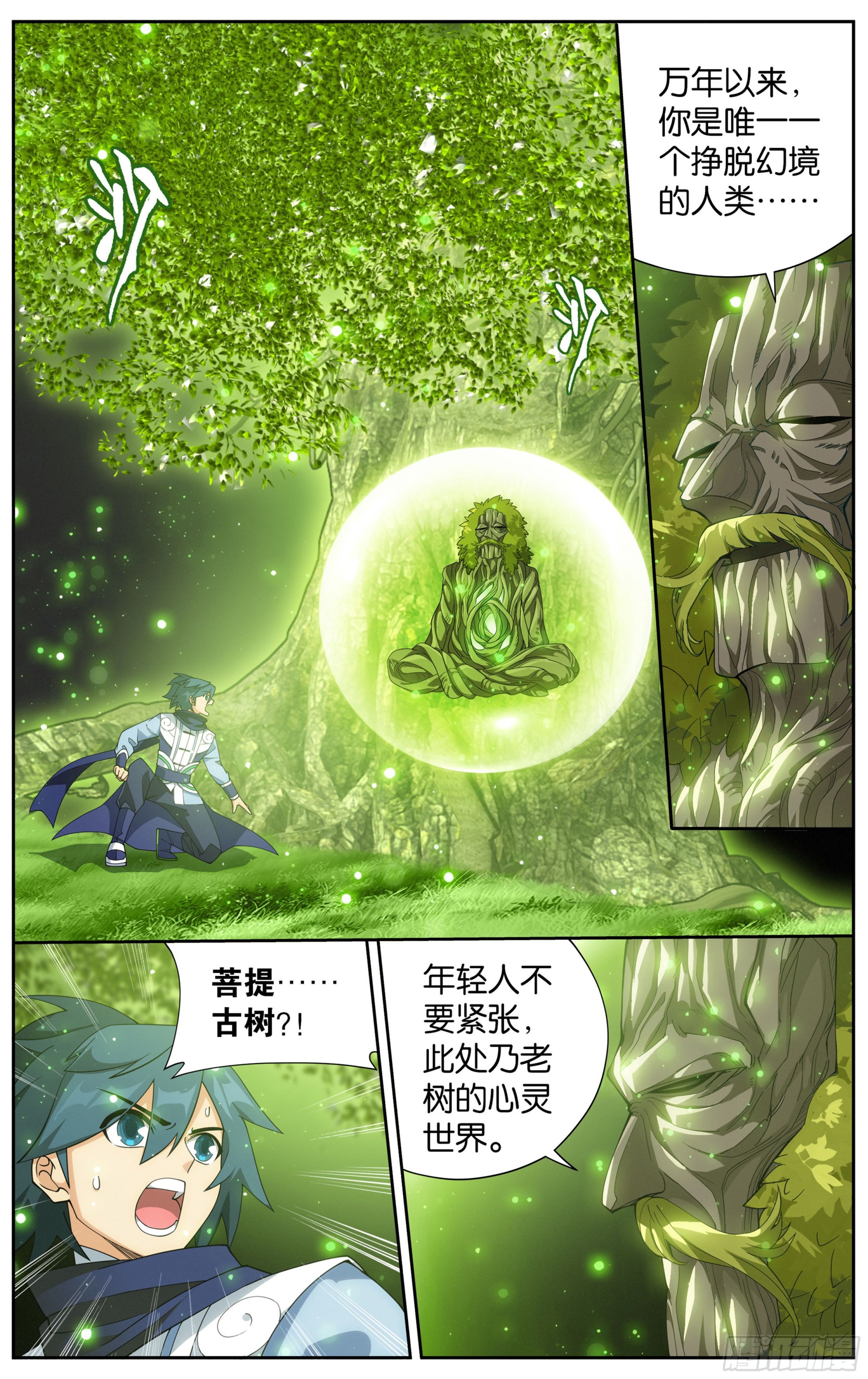 373回 老树8