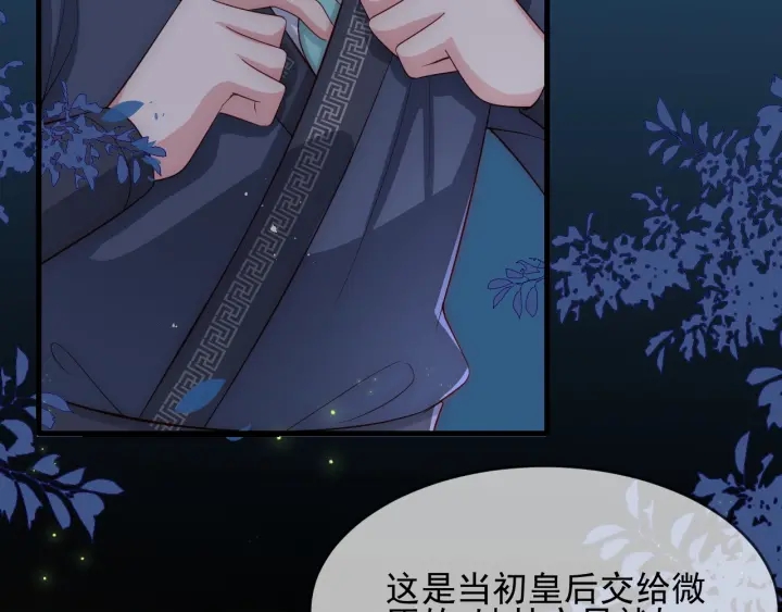 第62话 代皇上出面73