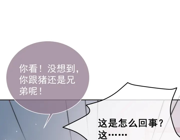 第33话 女鹅被强吻？51