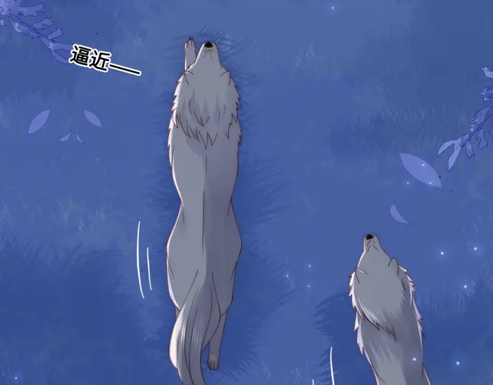 第136话 夜小狼出现59