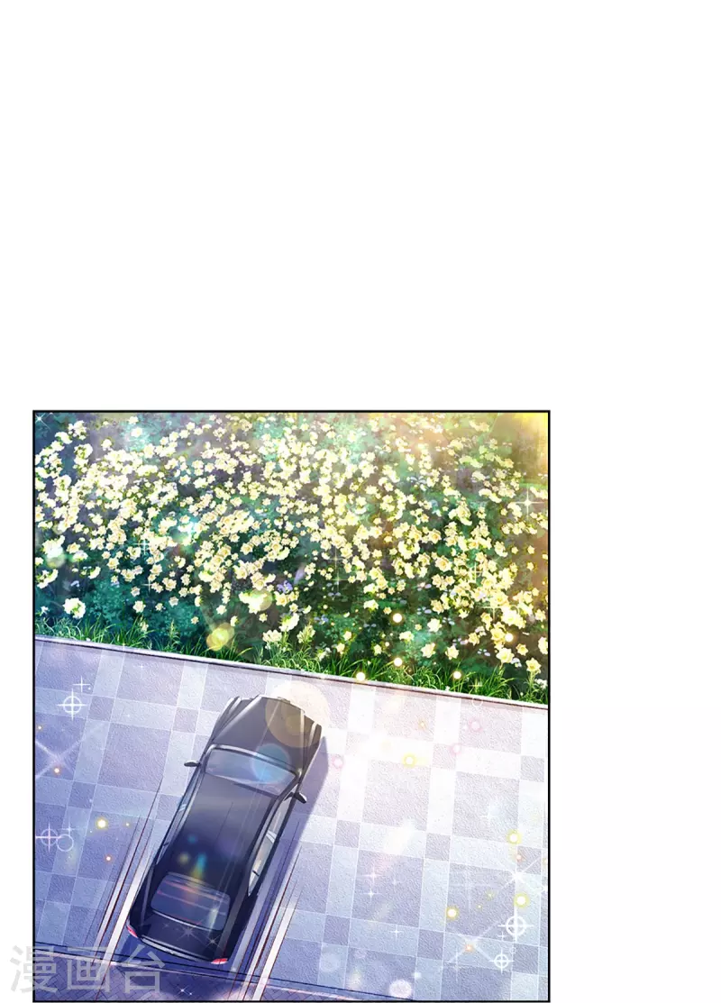 第372话 香槟玫瑰，高调示爱20