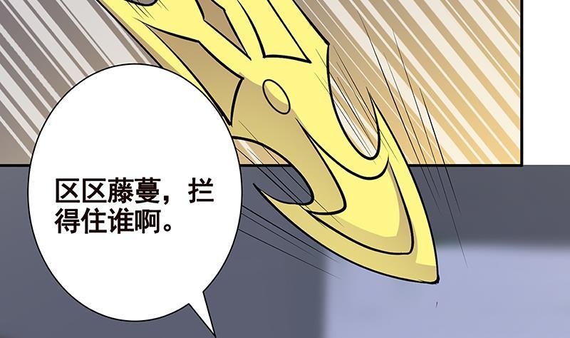 第241话 食人树2