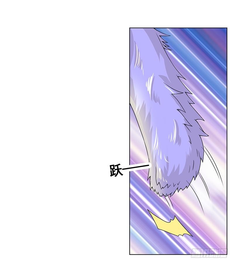 第75话 七七变大了！4