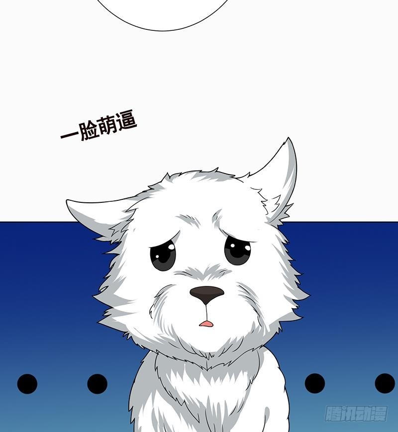 第189话 狗养主人60