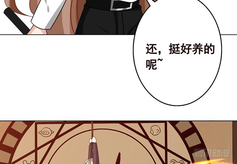 第207话 诡异的丧屍62