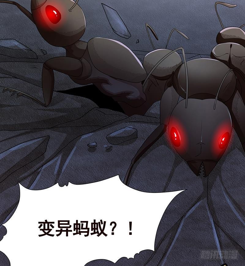 第253话 你是猪吗2