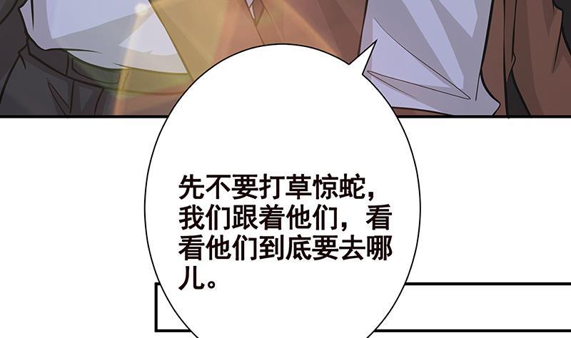 第244话 冷长青的秘密40
