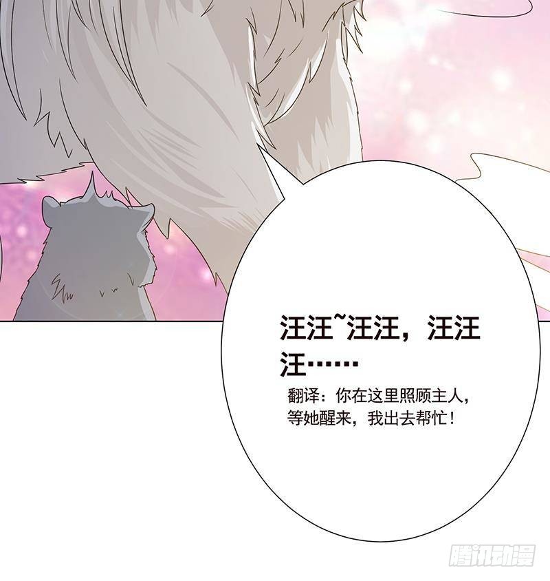 第280话 你就在此处不要走动61