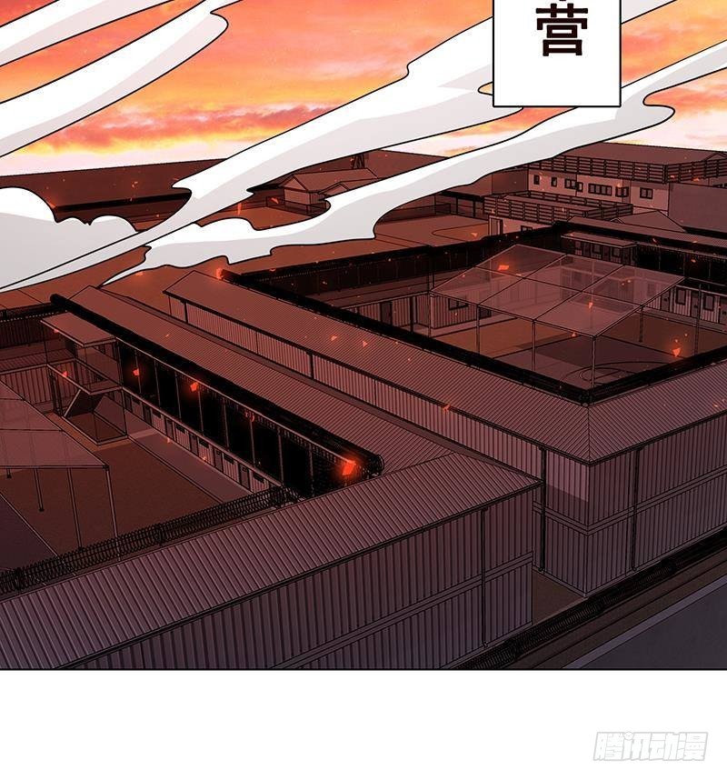 第317话 诱杀55