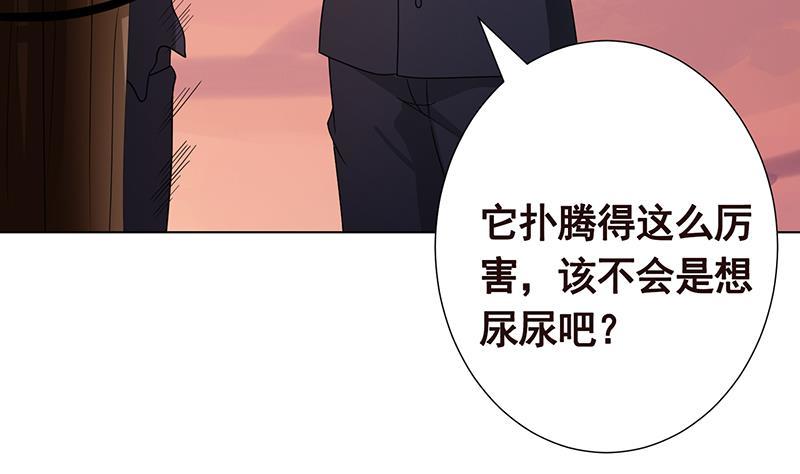 第335话 精神链接46