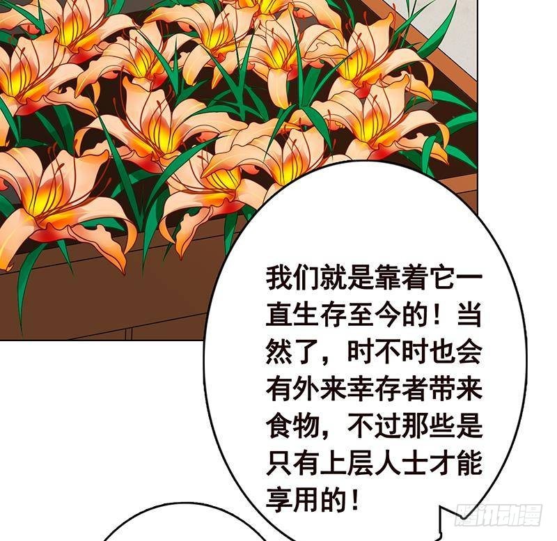 第301话 忘忧草59
