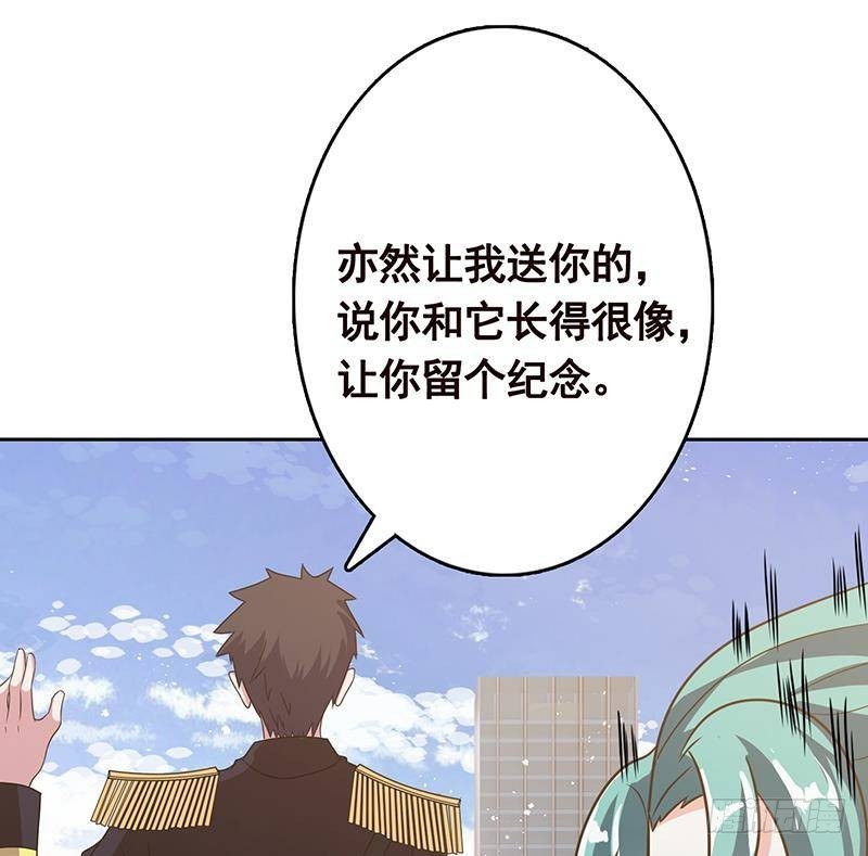 第340话 猪头和绿茶更配哦38
