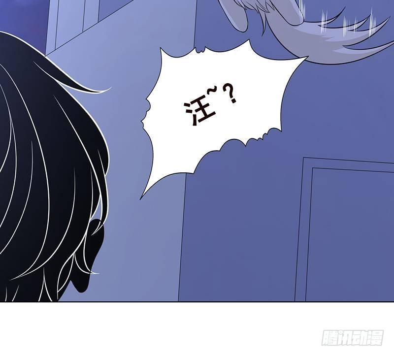第288话 真·舔狗15