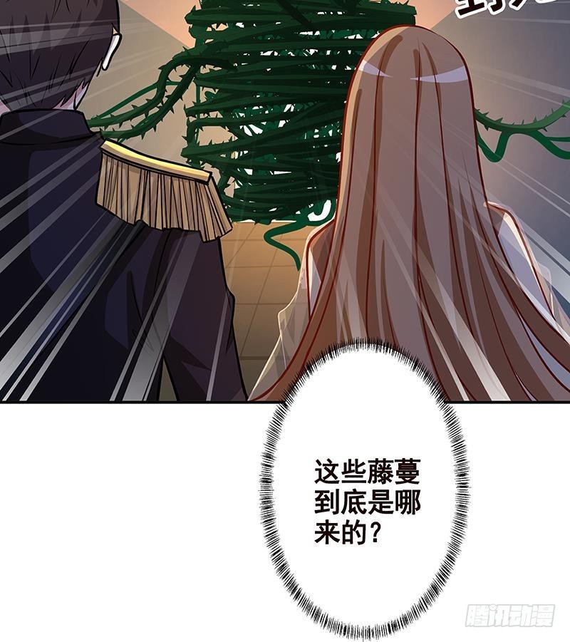 第240话 我要你陪葬67