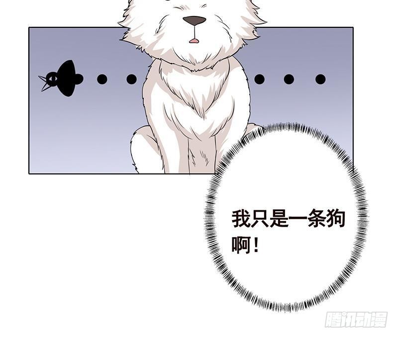 第236话 喜欢长青的第一天52
