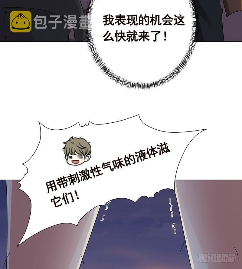 第253话 你是猪吗17