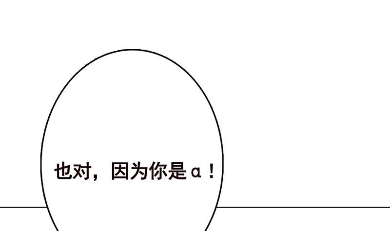 第262话 局中局31