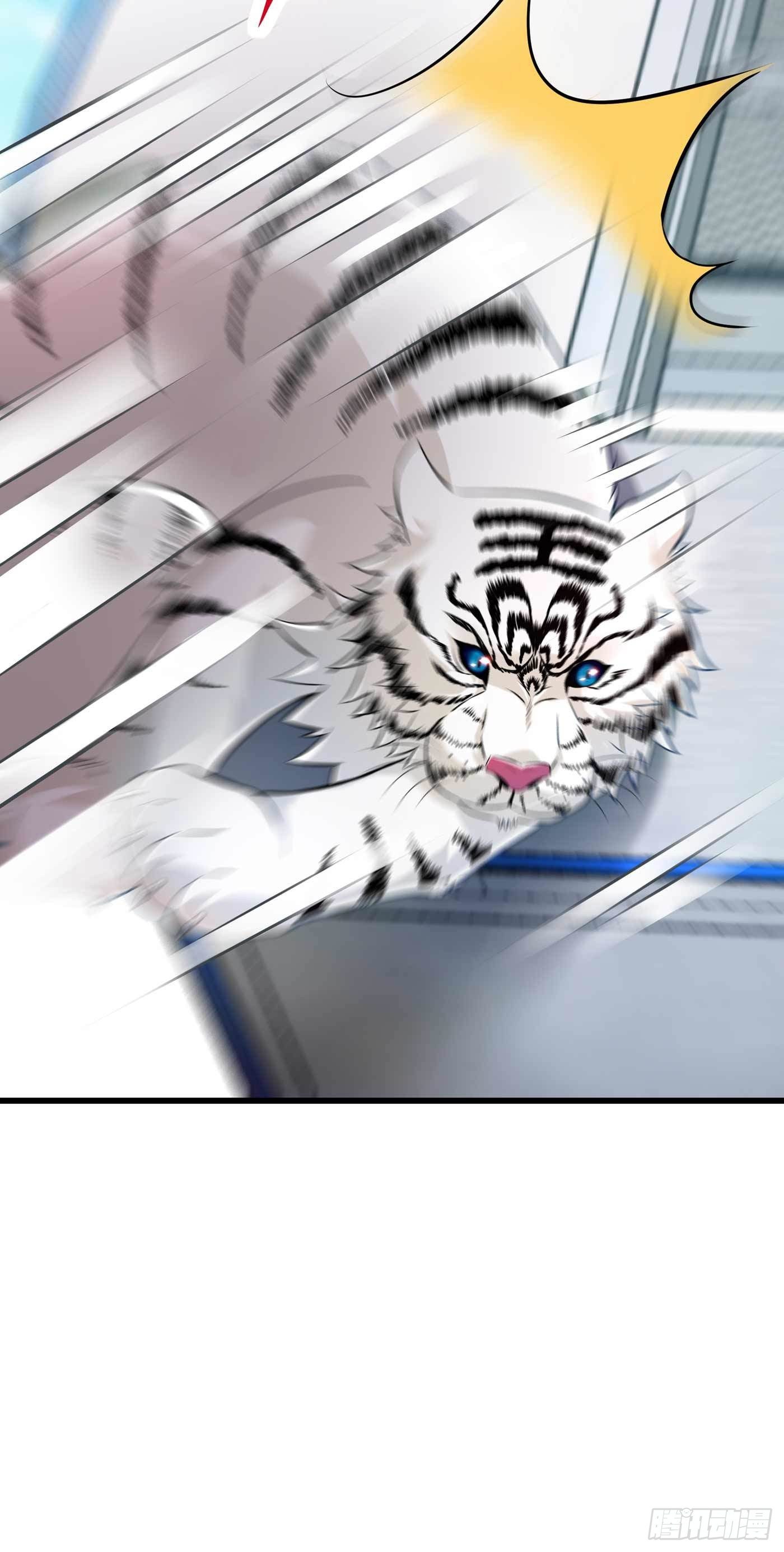 第57话 小黑，帮我个忙！33