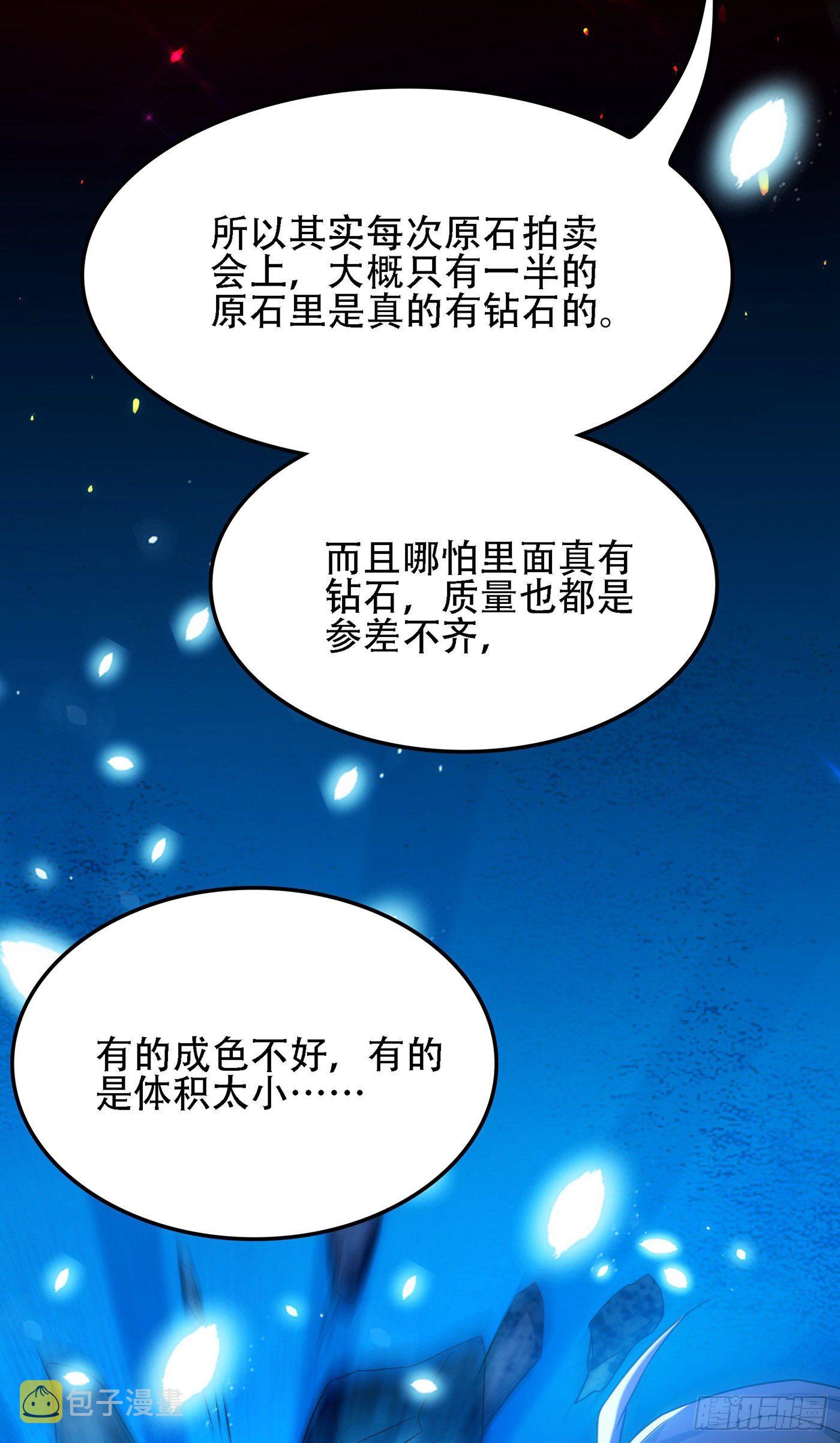 第106话 原石拍卖会14