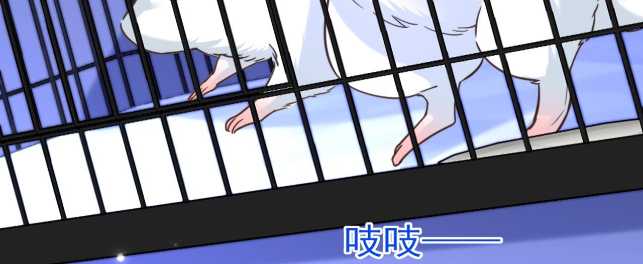 第330话 带我去看他……79