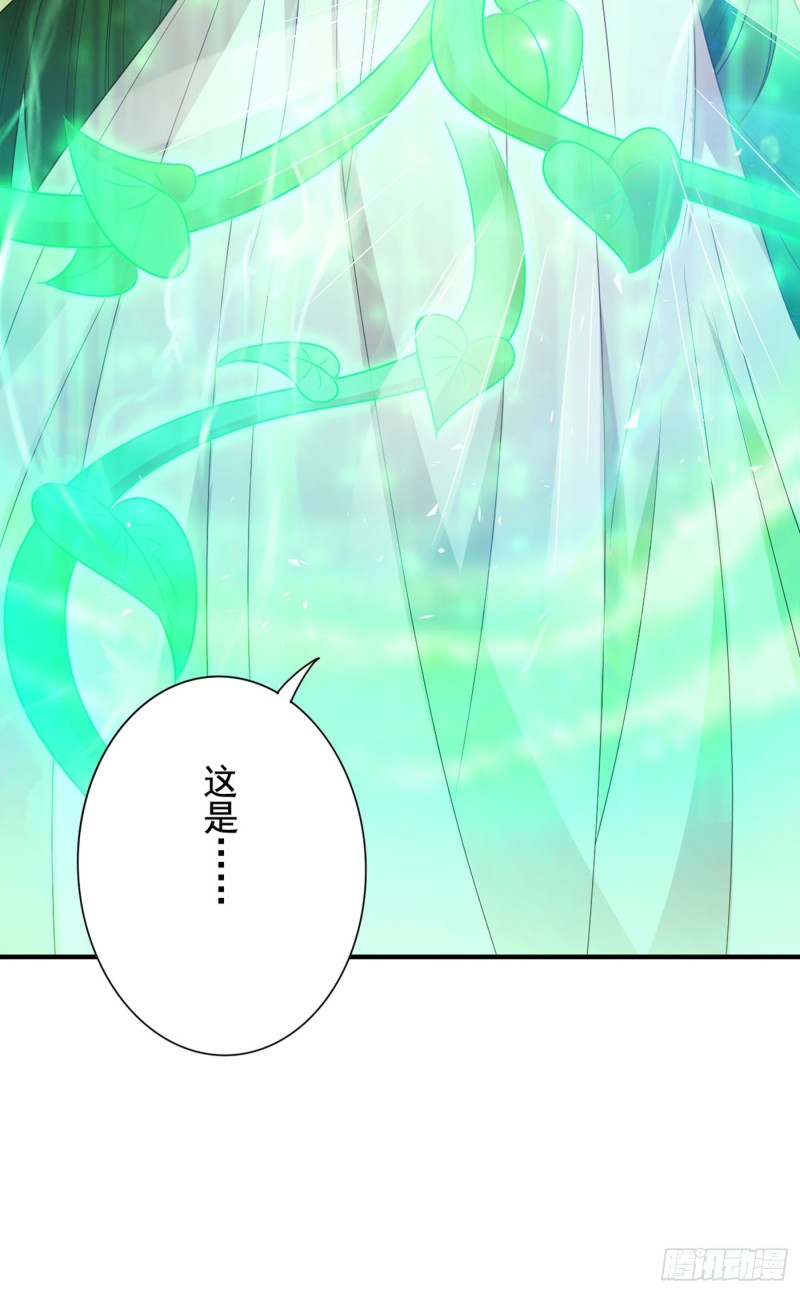 第239话 宝宝，你一定会平安24
