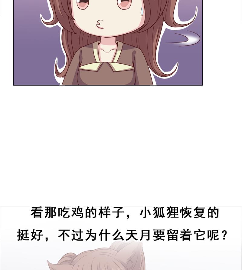 第216话 脏兮兮的小狐狸56