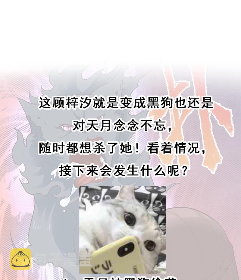 第261话 说服顾梓汐56