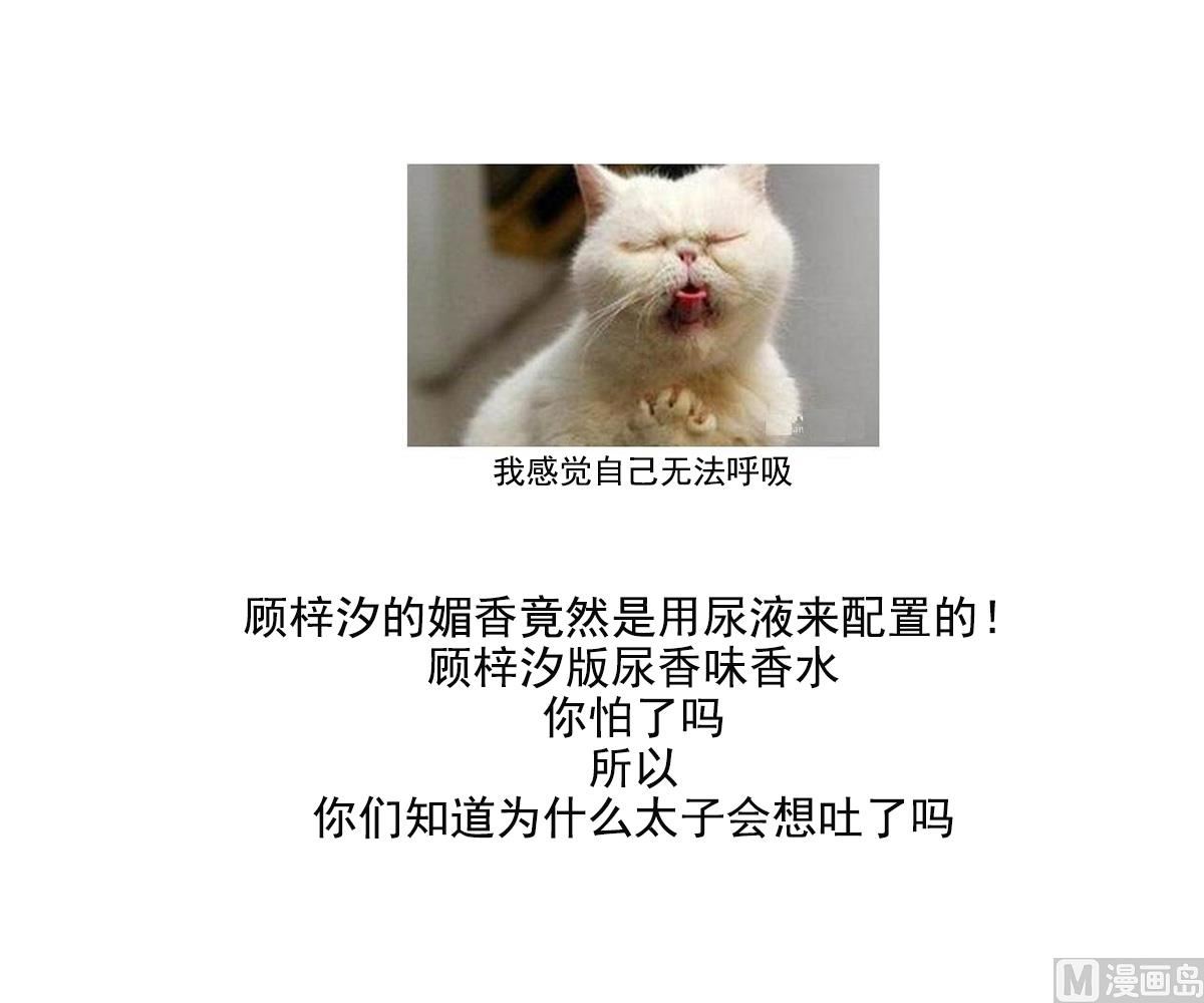 第155话 她和顾梓汐长得一样47