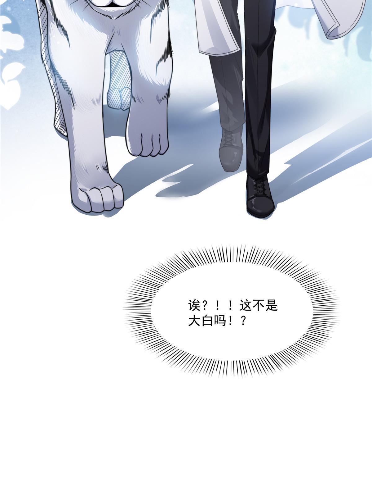 第277话 也是你的宠物38