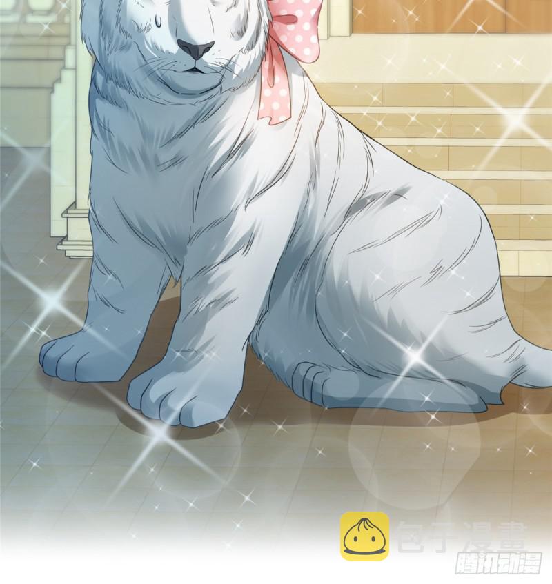 第七十一话 猎物进套50